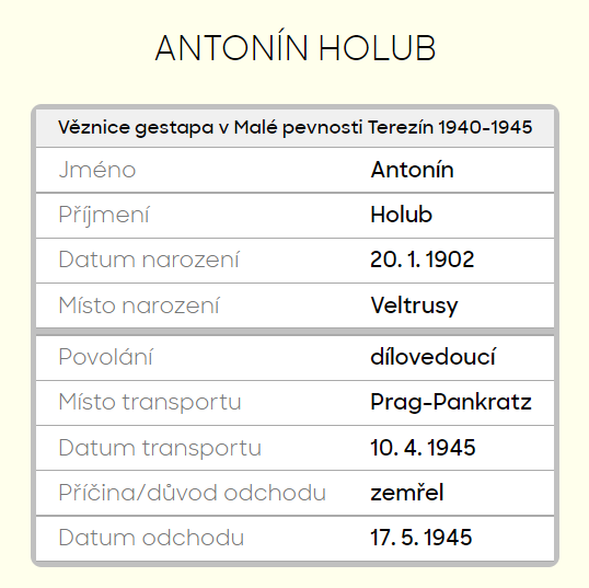 Holub003