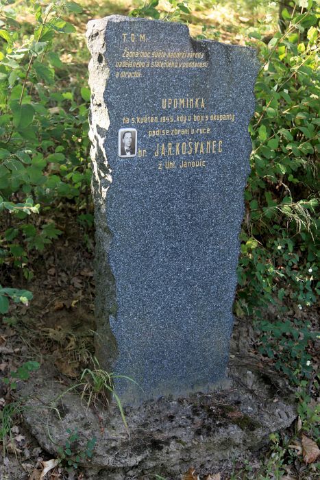 Kosvanec